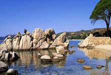 开云APP-英超锋刃出鞘！葡萄牙绝境逢生，C罗任意球绝杀书写关键一胜！