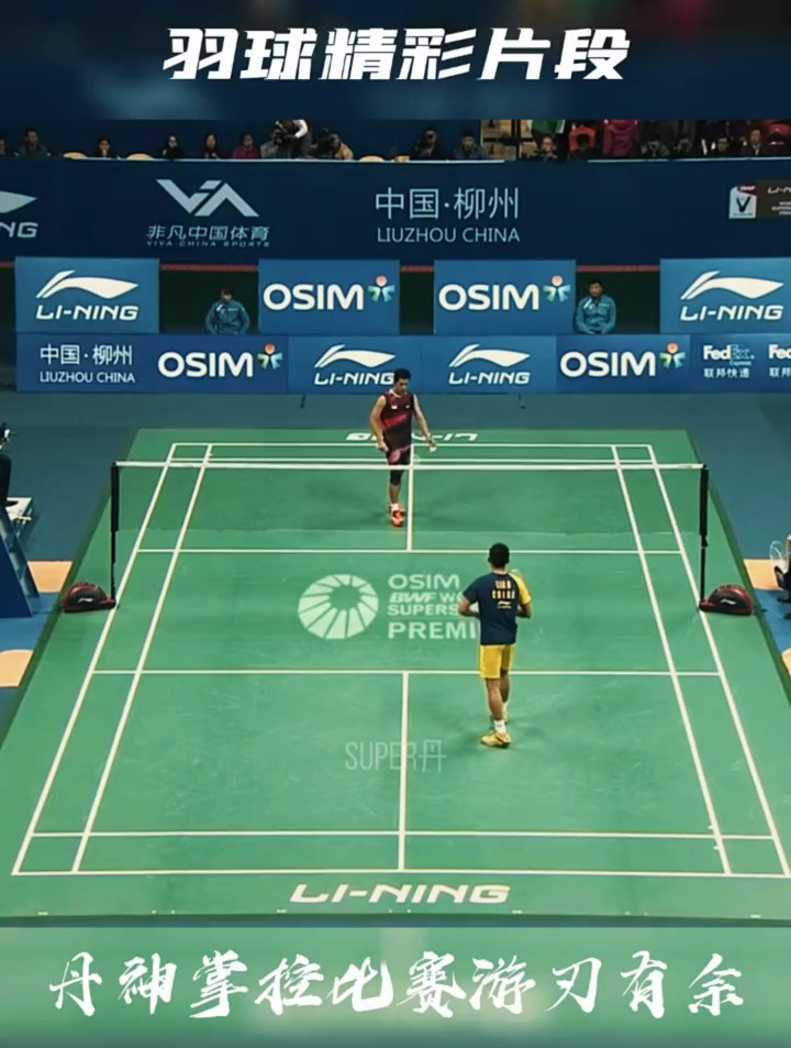 开云体育在线-印度羽毛球队力克泰国羽毛球队，林丹高光表现