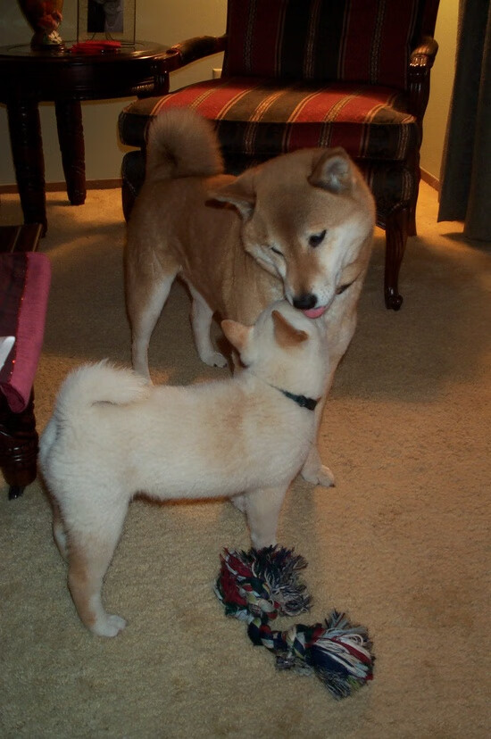 开云体育官网-冷门的暗流与星辰的轨迹，雷恩铁血终结贝蒂斯，李刚仁于亚平宁风暴中接管权杖