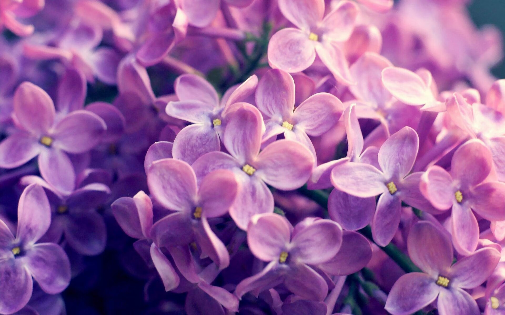 开云体育-拉什福德的节奏，诠释一场未发生的对决—秘鲁如何以红魔韵律掌控沙特