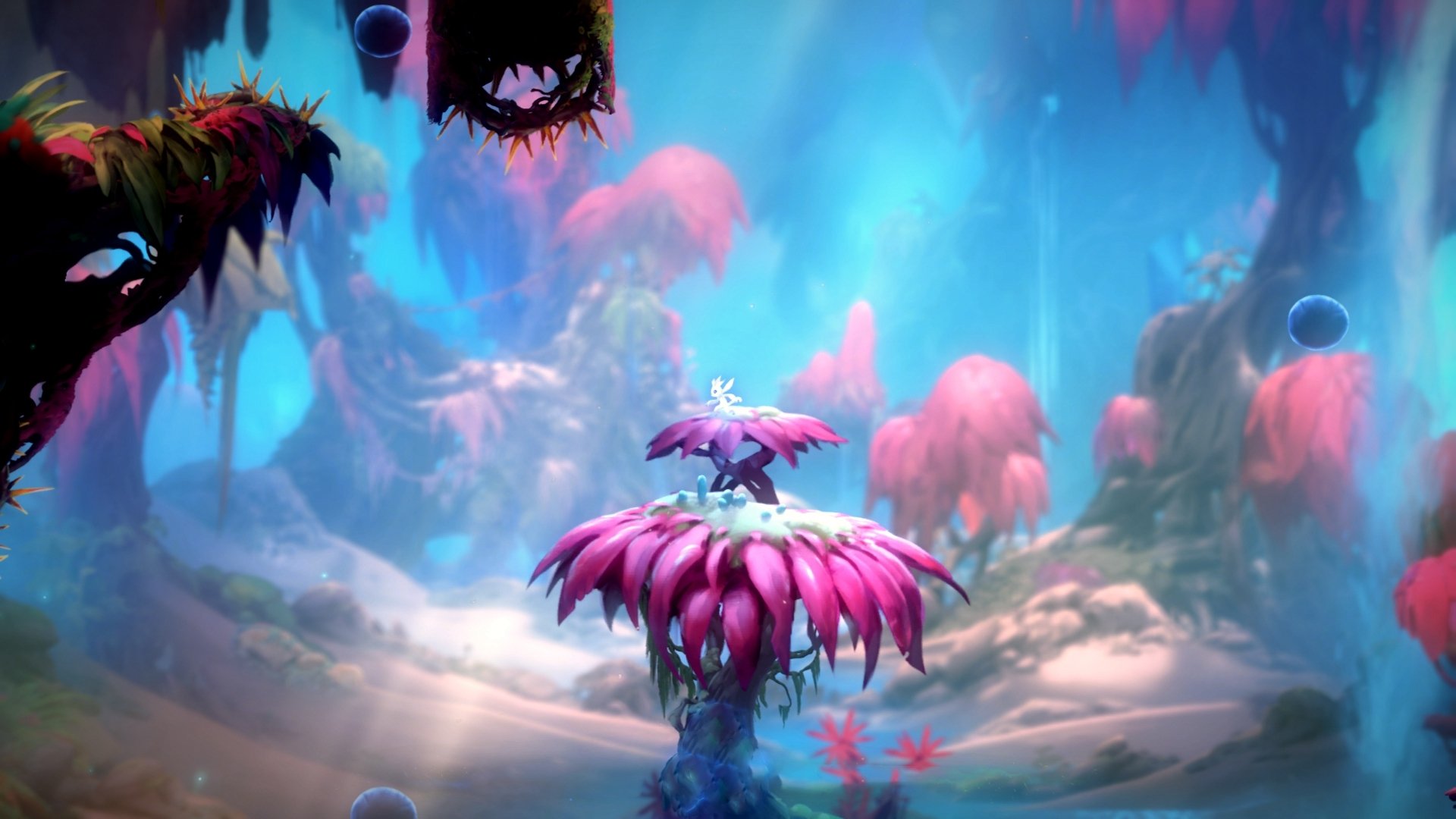 交响乐与定音符,雄鹿的团队横扫与戈贝尔的独奏胜利