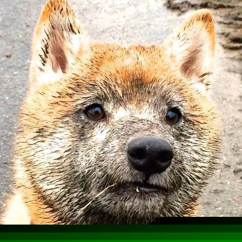 开云体育中国-一箭三星刺破伯纳乌之夜，那个让银河战舰失语的英格兰孤胆英雄