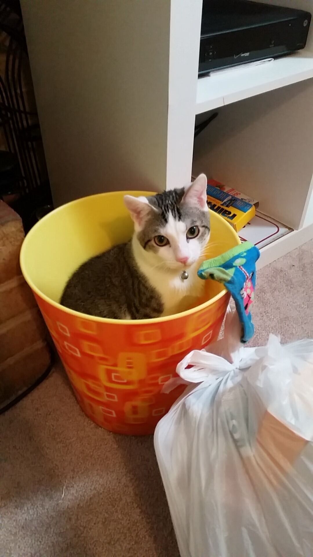 开云sport-蛰刺与斩落，杜兰特沉默之刃下的开拓者纪元