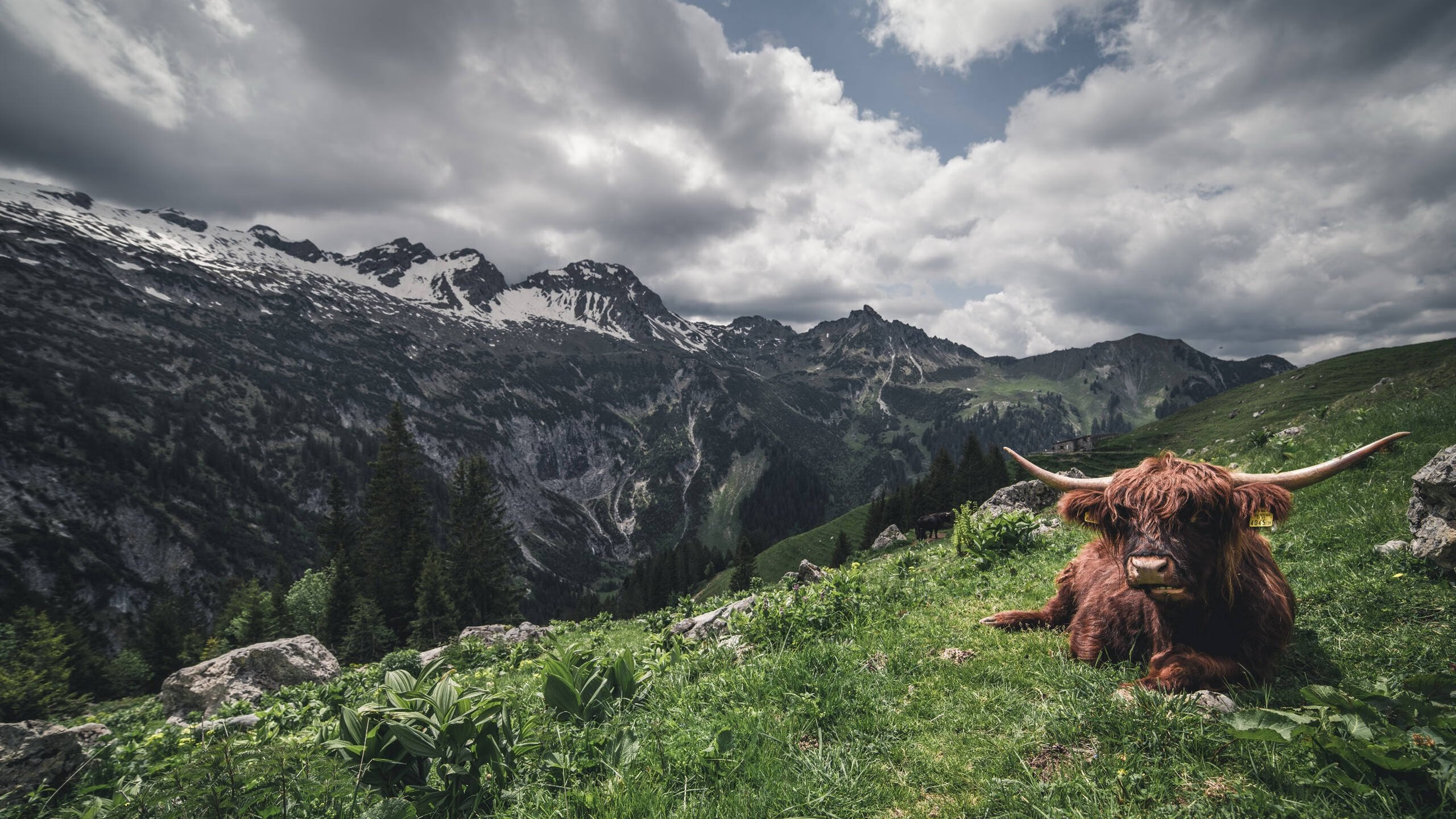 年度焦点之战，阿森纳闪电速胜南非，改写足球史话