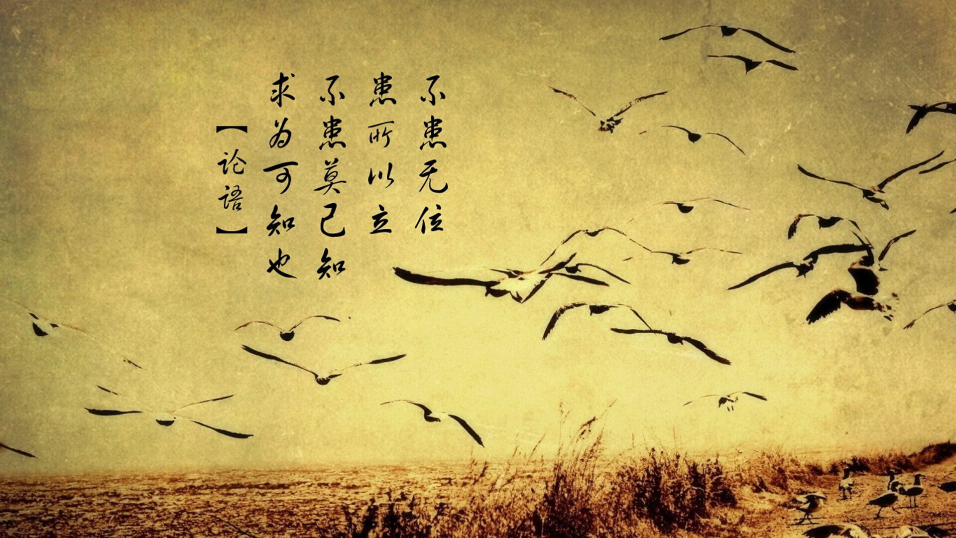 繁星不问赶路人，论梅西的丰碑与雷恩的炬火