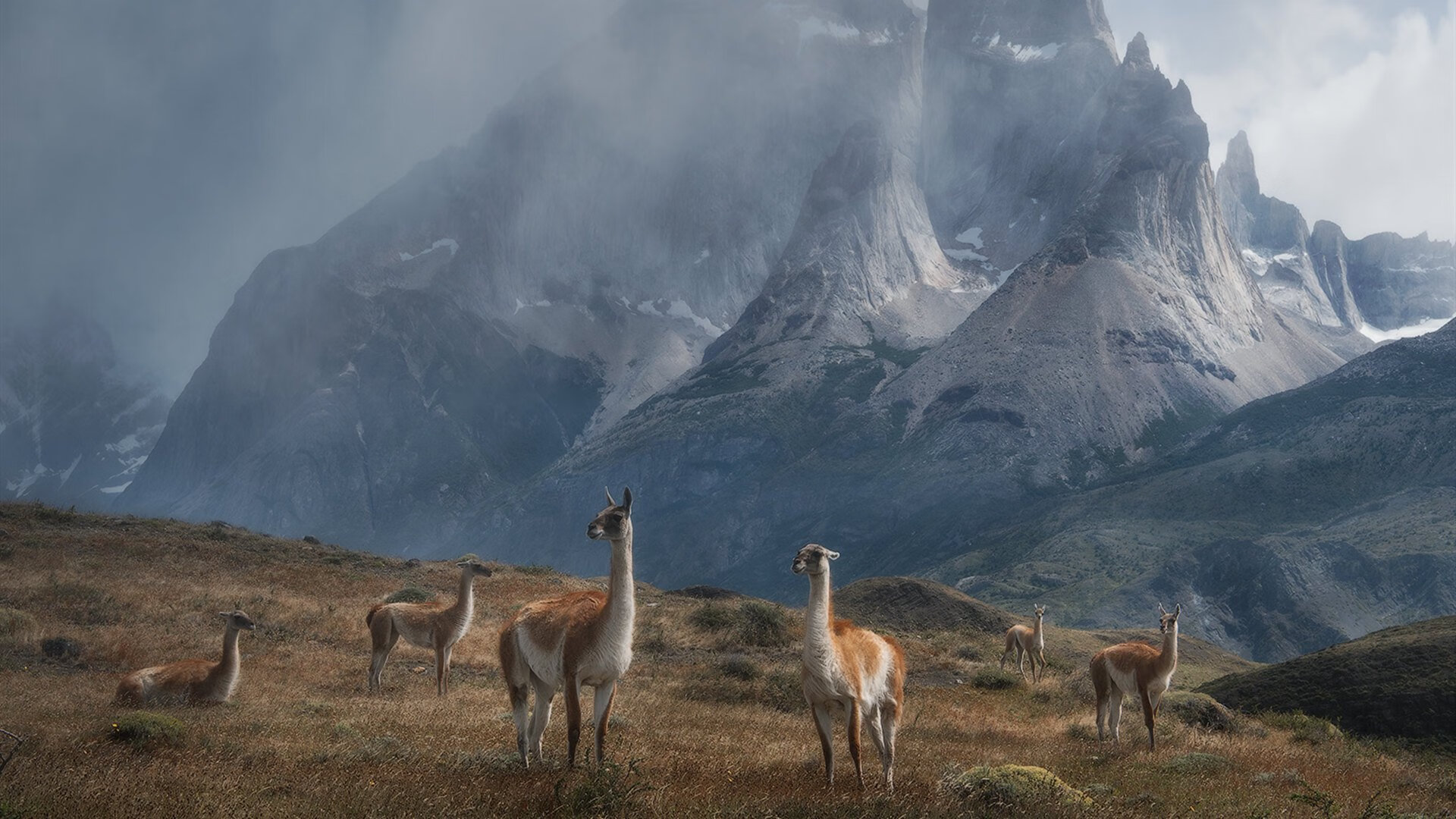 铁壁与桑巴的葬礼，当几内亚的洪流冲垮了巴西，斯通斯如何成为沉默的关键先生